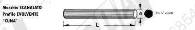 51.630: TUBE CANNELLÉ