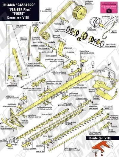 Gaspardo - BILAMA: Mod. FBR/FBR Plus/FIORE (Viti)