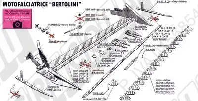 Motofalciatrici: BERTOLINI