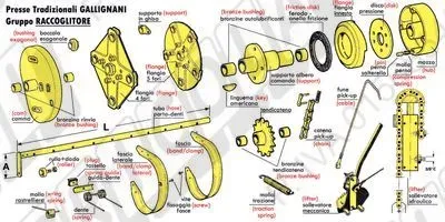 GALLIGNANI: Gruppo Raccoglitore