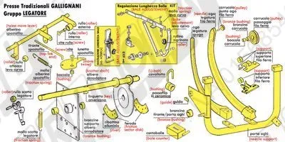GALLIGNANI: Gruppo Legatore