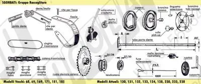 SGORBATI: Gruppo Raccoglitore